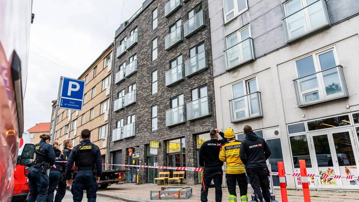 Billedet i artiklen