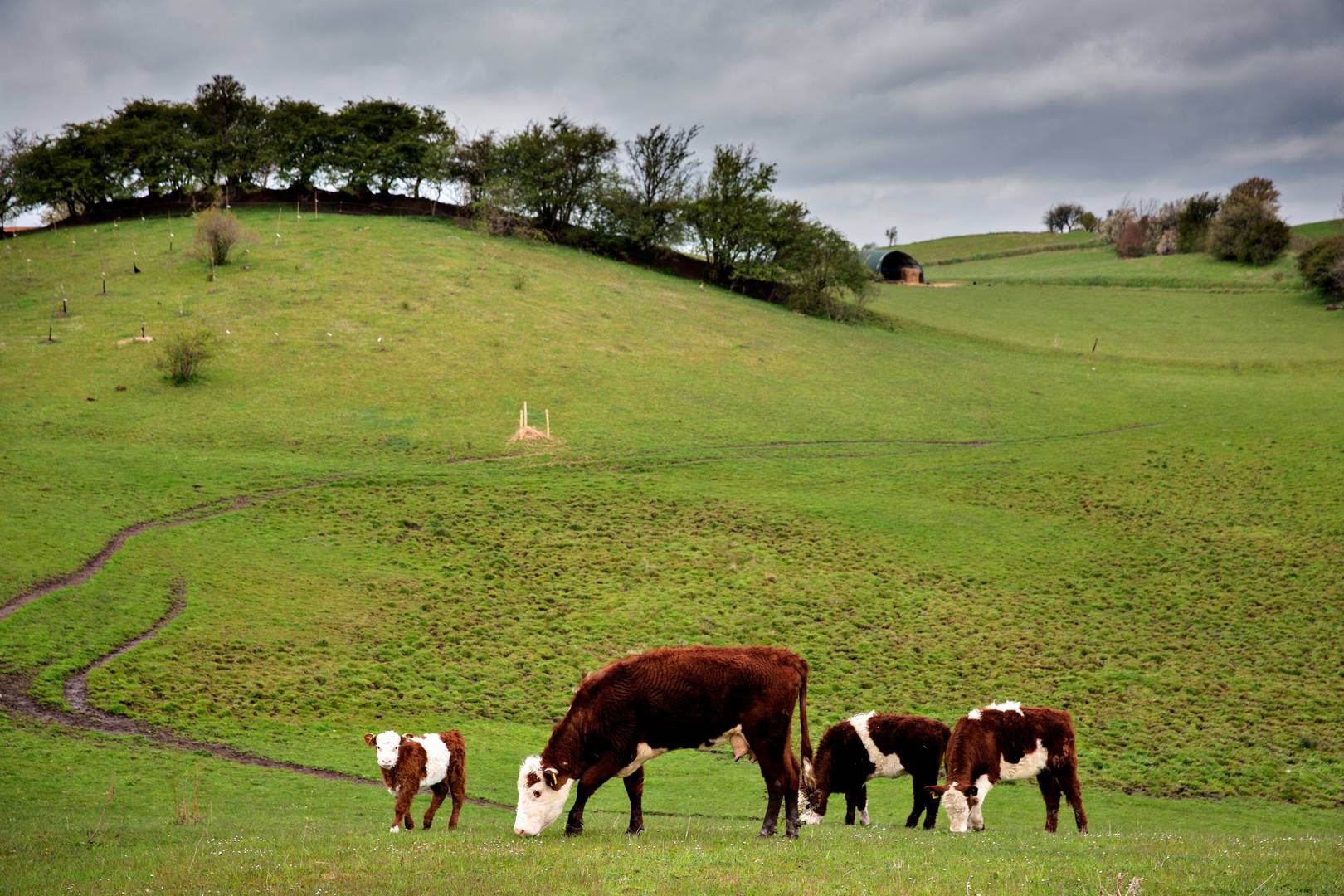 Arkivfoto fra Ærø. Oprindeligt skulle efterskolen først lukke 31. juli, men den dato blev senere fremrykket til 15. marts. | Foto: Martin Lehmann